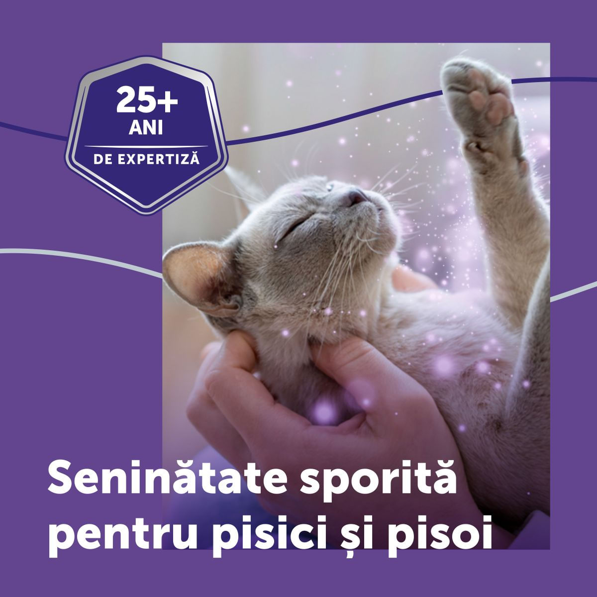 FELIWAY Optimum Rezervă diffuser, feromoni, sistem nervos &amp; calmante pisici, 48ml